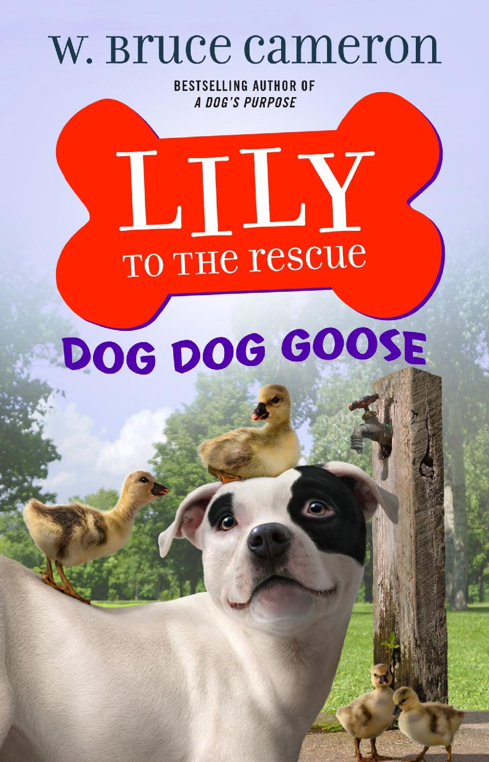 Lily to the Rescue 04 - Dog Dog Goose
