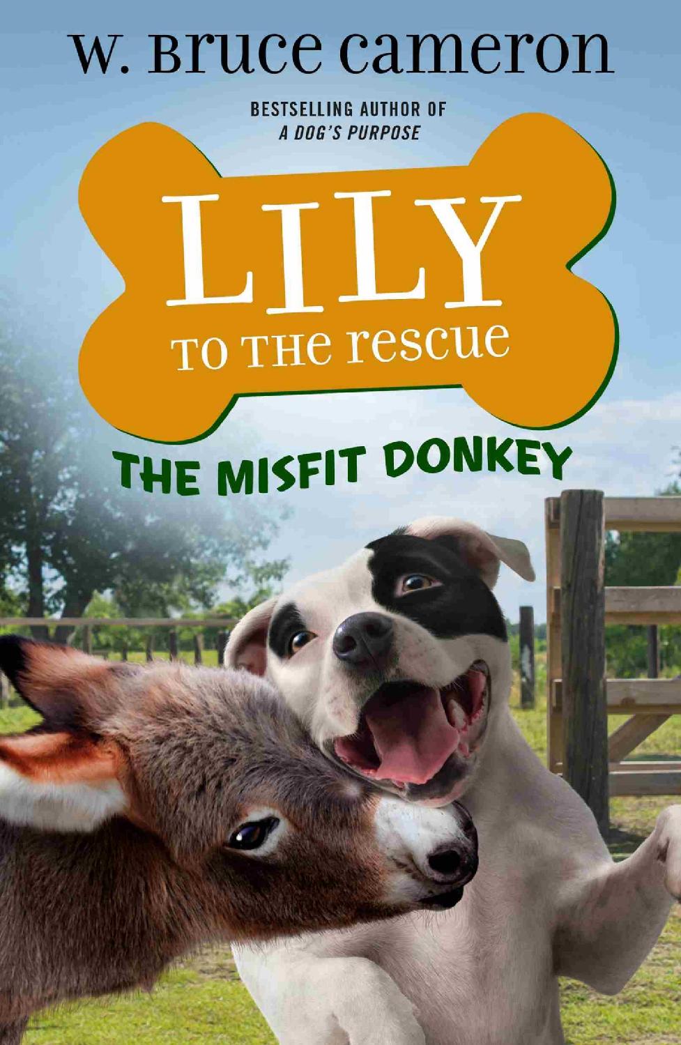 Lily to the Rescue 06 - The Misfit Donkey
