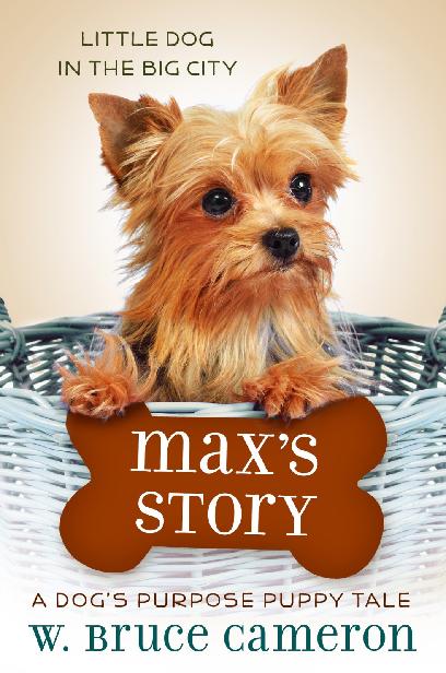Puppy Tales 04 - Max's Story