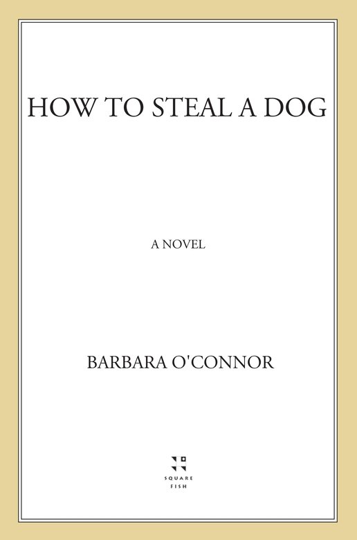 How to Steal a Dog