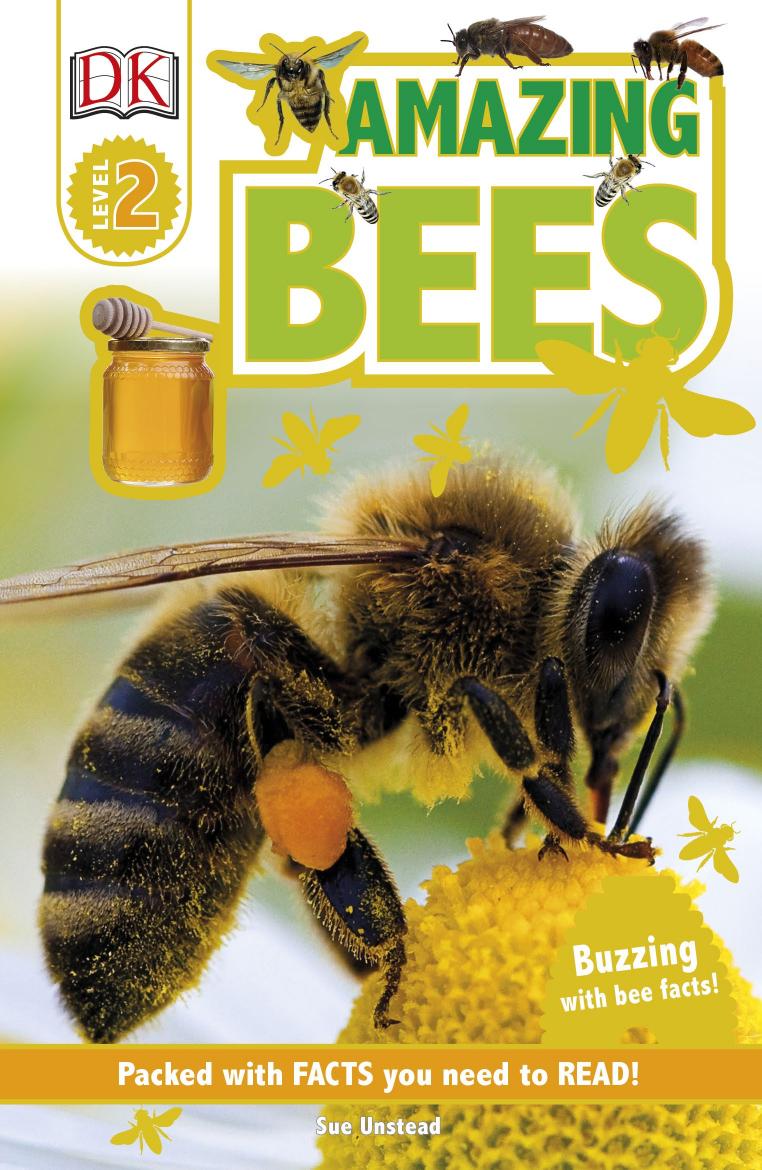 Amazing Bees