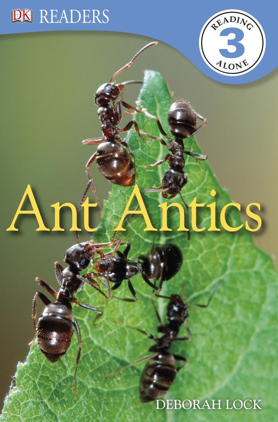 Ant Antics
