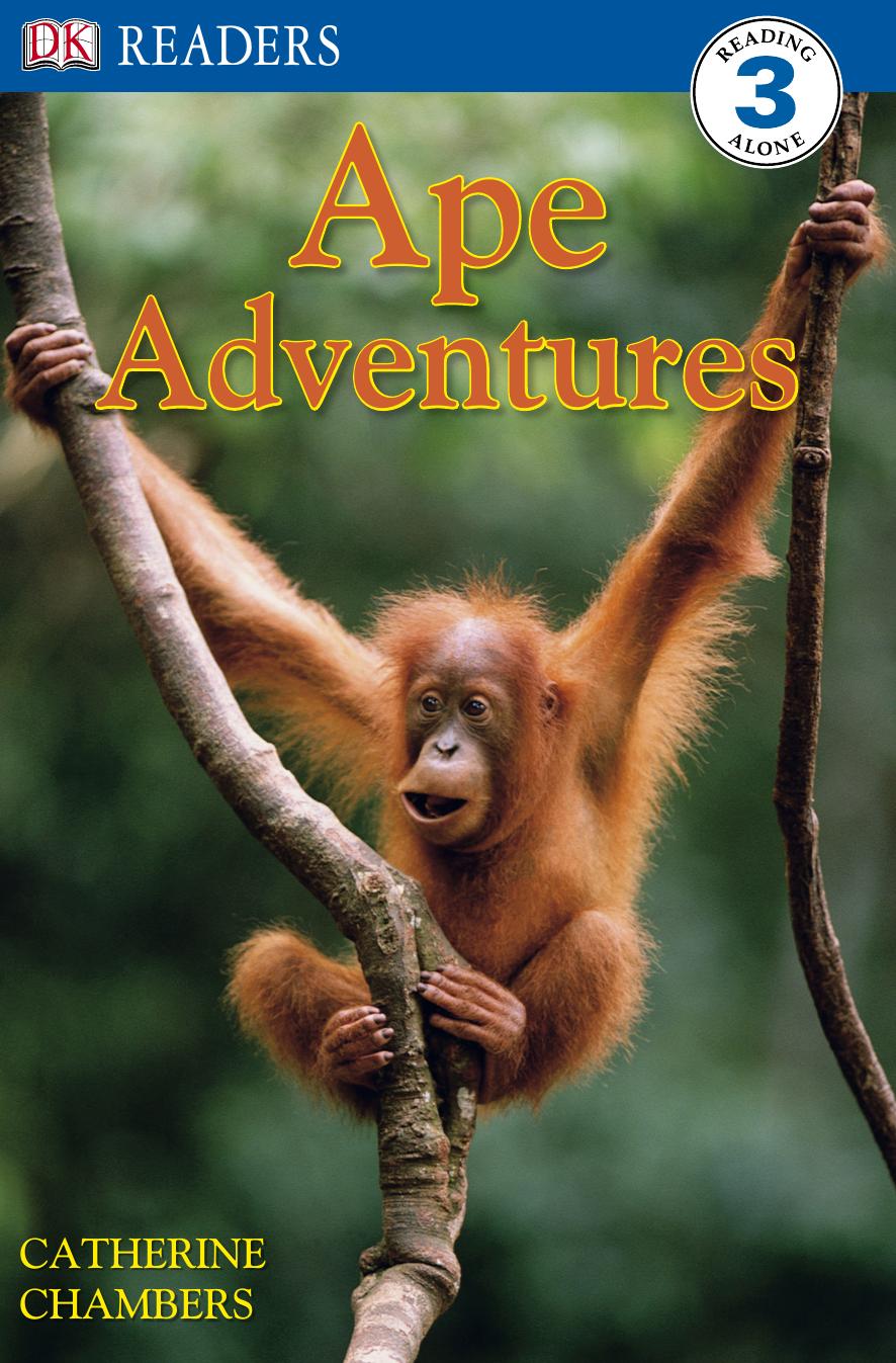 Ape Adventures