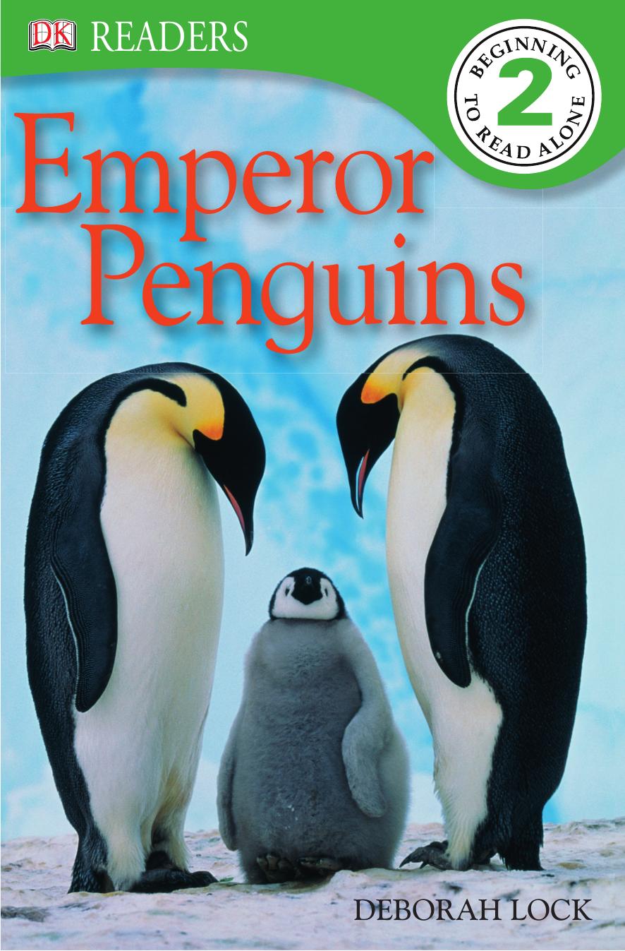 Emperor Penguins