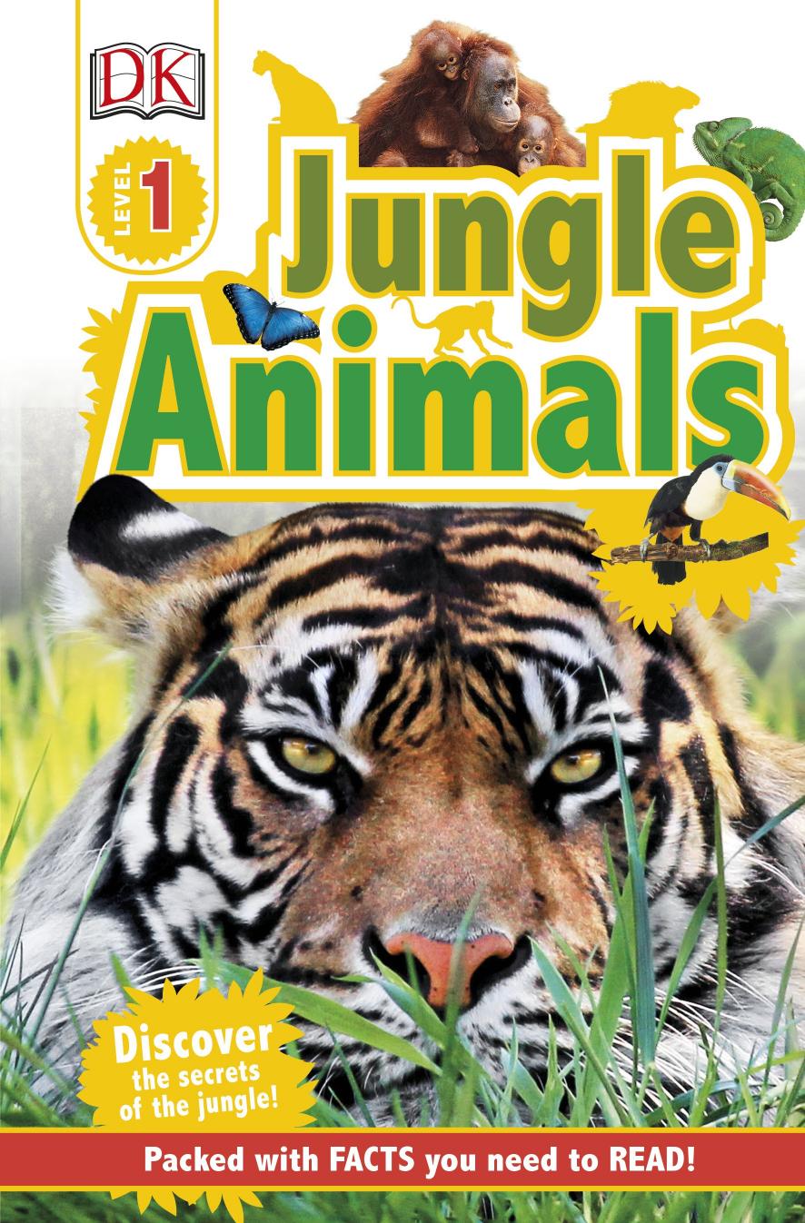 Jungle Animals