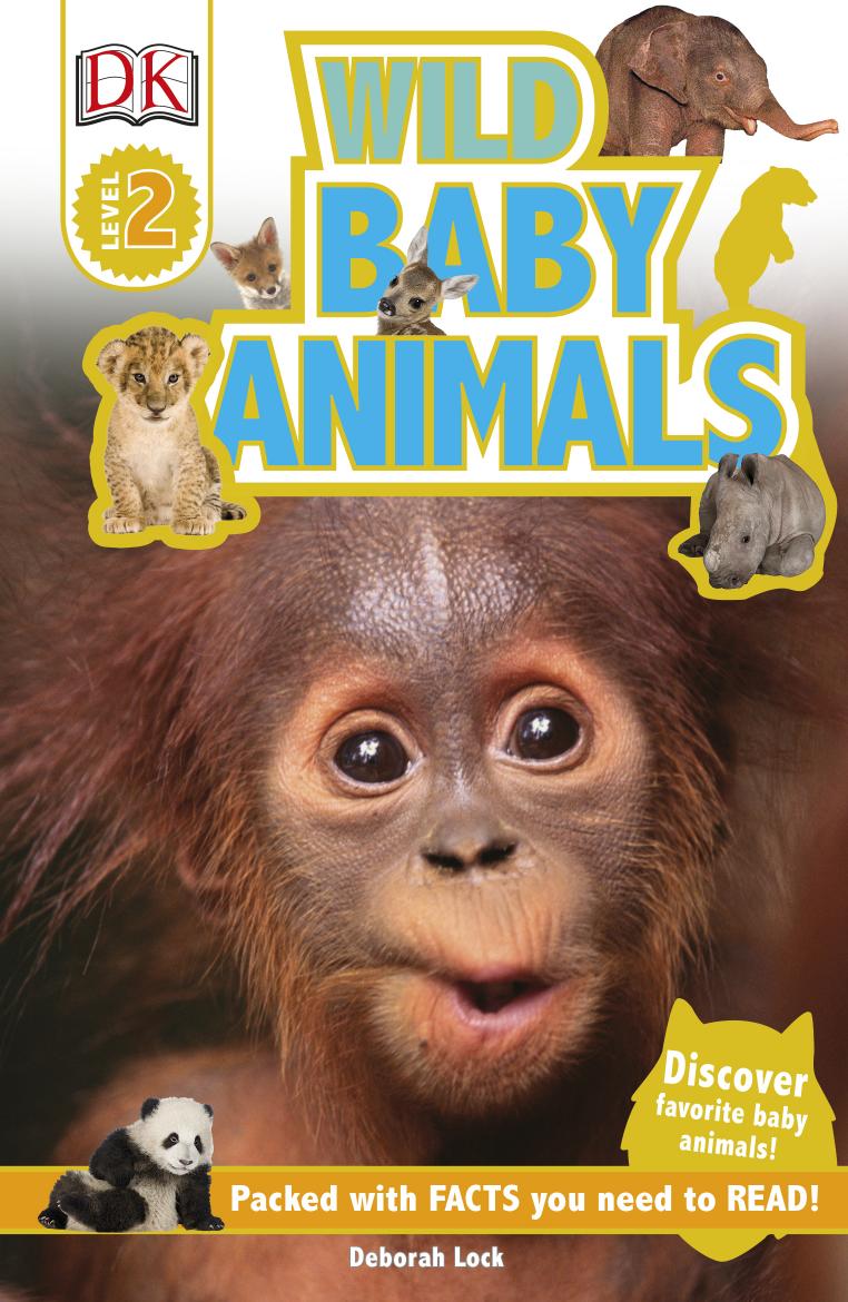 Wild Baby Animals