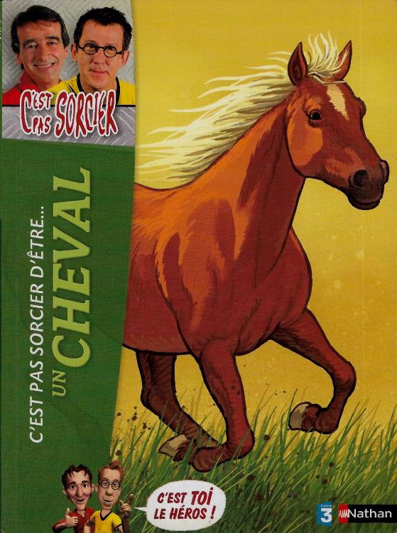C'est pas sorcier d'être un cheval