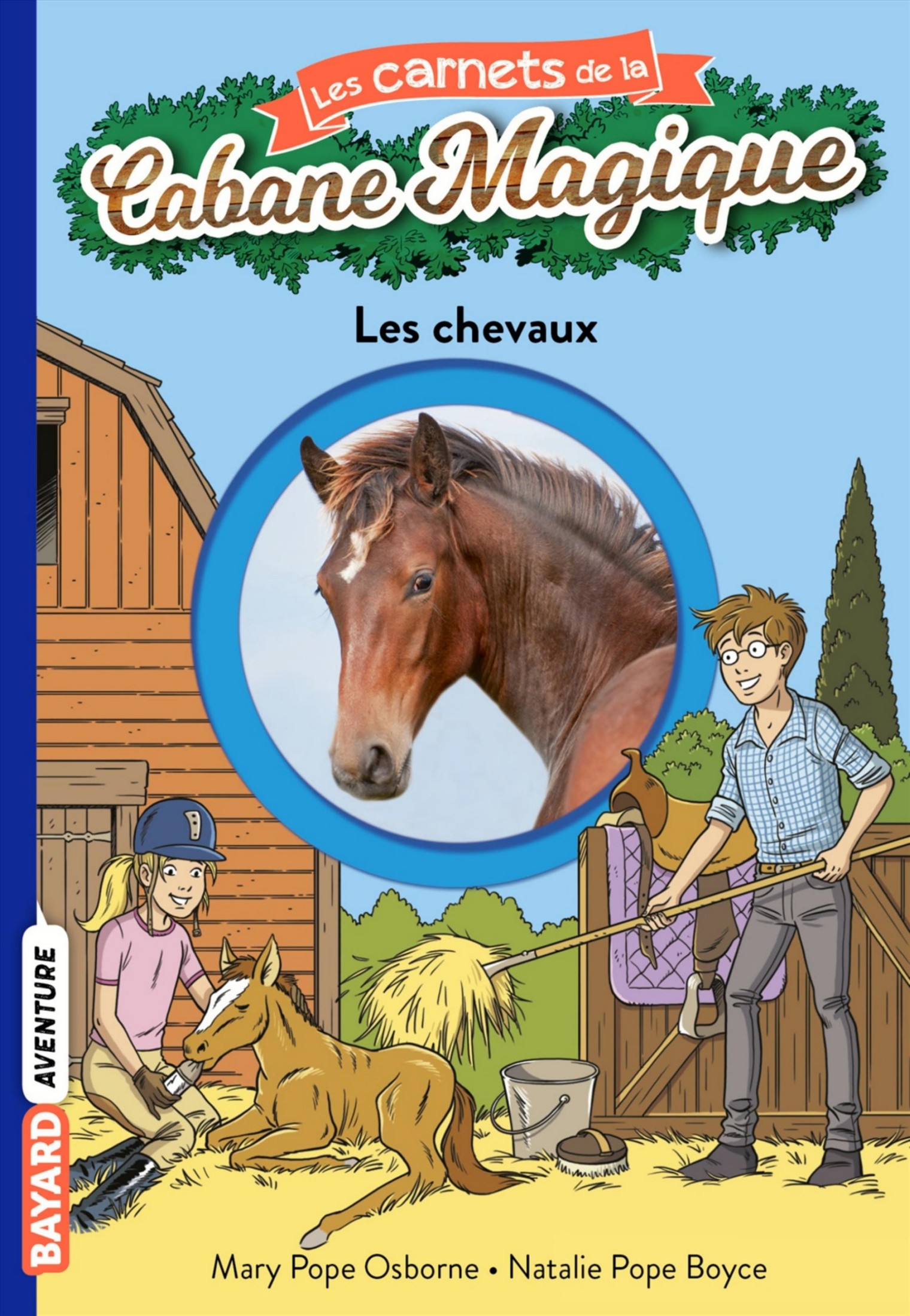 Les chevaux