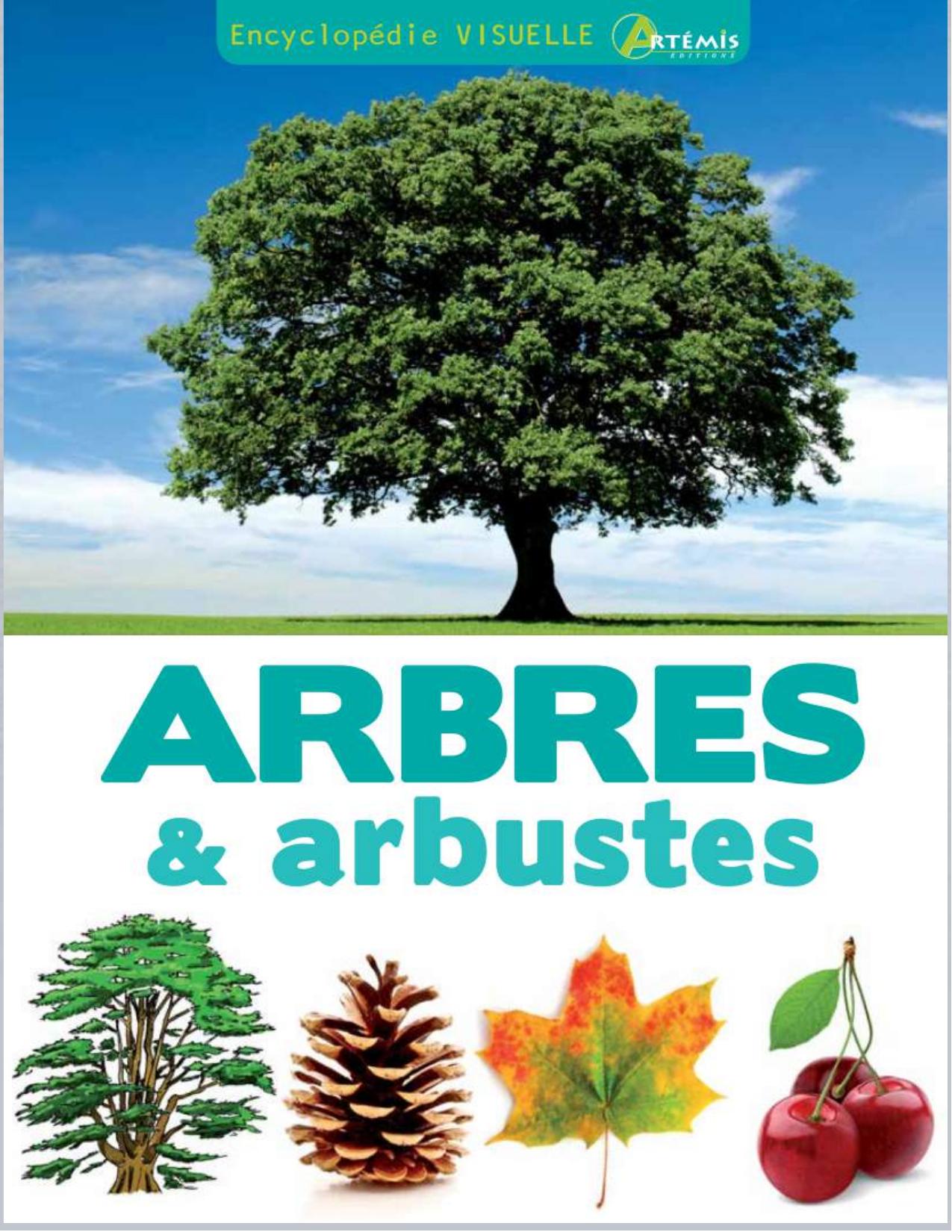 Encyclopedie visuelle des arbres arbustes